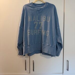 American Eagle Outfitters Sky Blue Hoodie